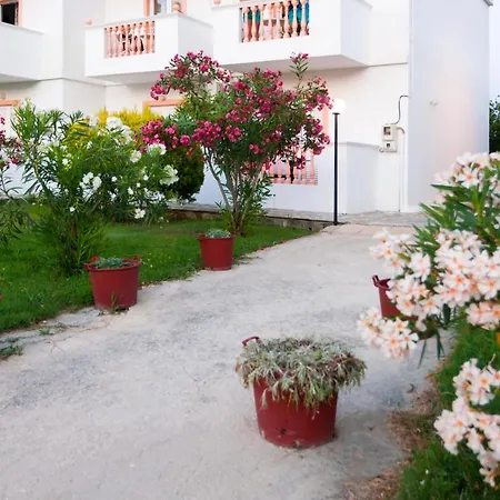 Akis * Alykes (Zakynthos)